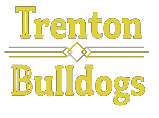 dark gray and gold hooded sweatshirt